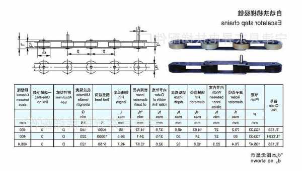 电梯梯级链节轴承型号表？电梯梯级链节轴承型号表示？