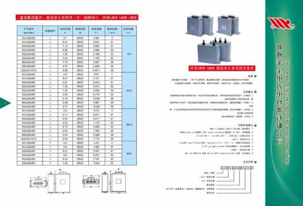 施工电梯电容箱规格型号，施工电梯电容箱规格型号