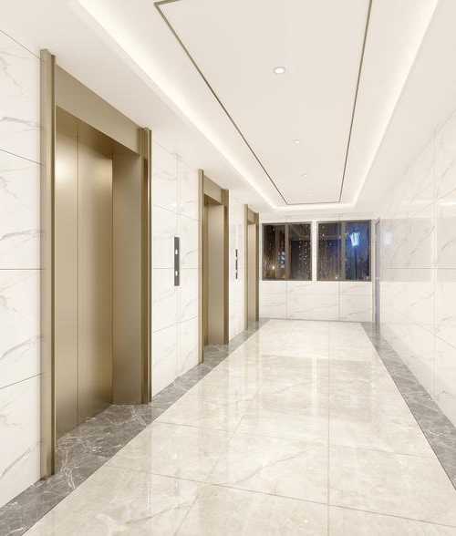 公寓都有哪种电梯型号图片，公寓电梯厅装修效果图！