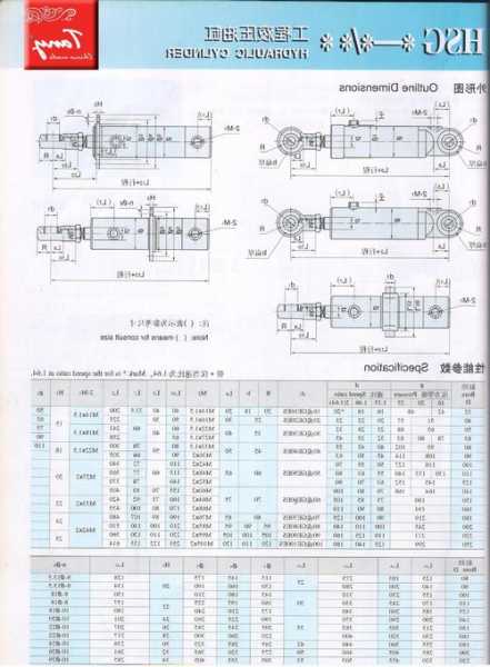 单缸液压电梯型号规格大全，液压电梯油缸型式？