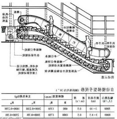 电梯单管扶手规格型号大全？电梯扶手安装方法图解？