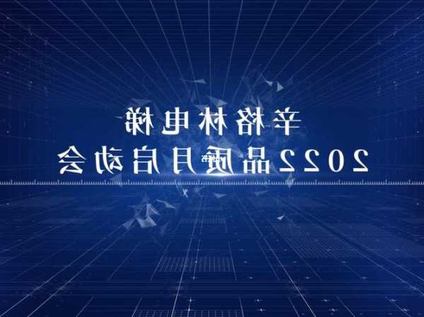 辛格林电梯800公斤型号，辛格林电梯中国有限公司官网