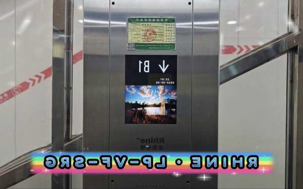 莱茵电梯货梯几种型号，莱茵电梯几线品牌