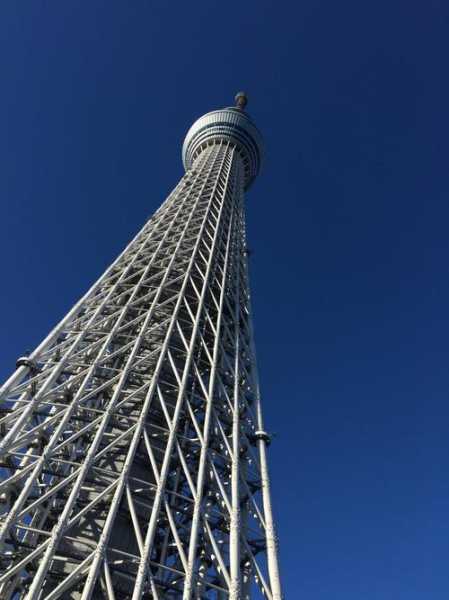 东京天空树电梯型号，东京天空树是什么意思！