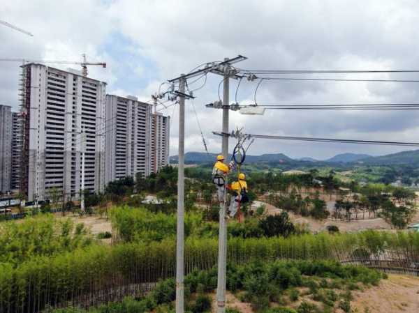 泰顺电梯尺寸规格型号，泰顺电力公司的电话号码是多少